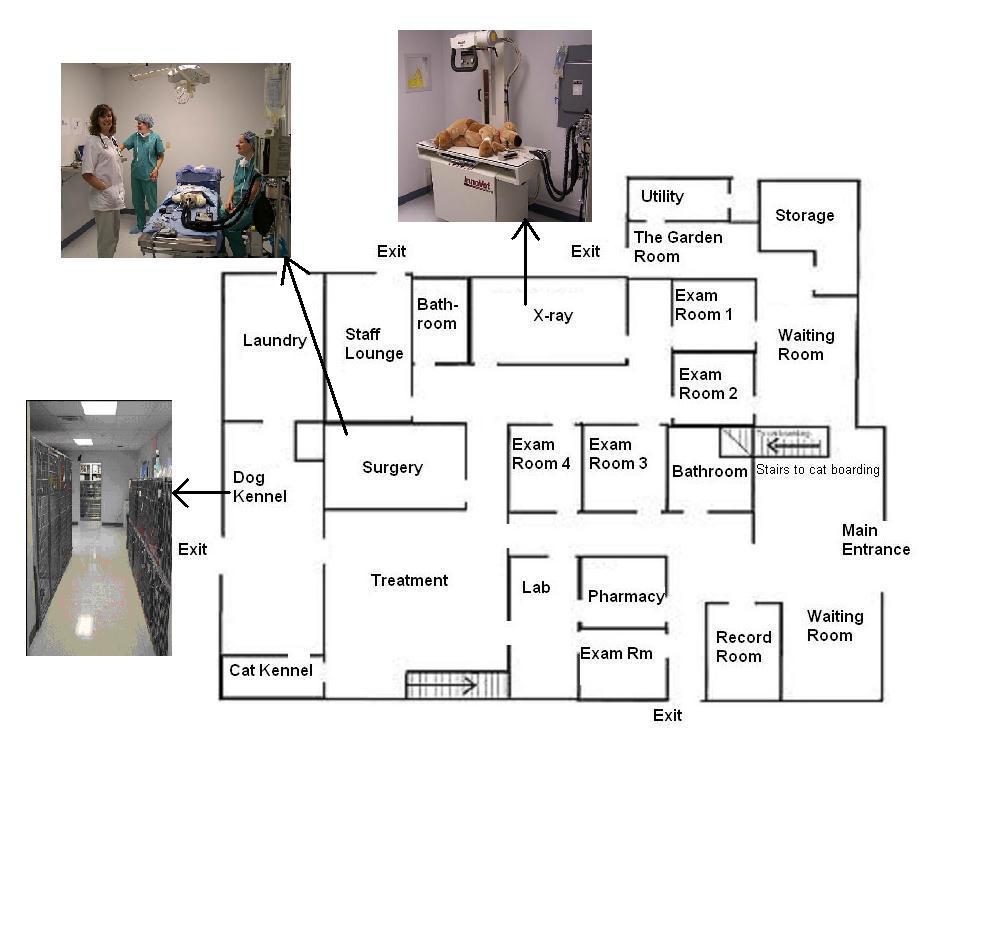 Our office layout