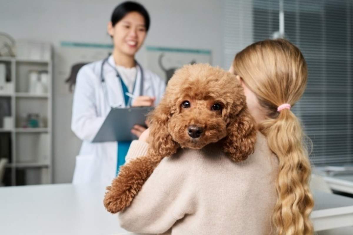 when-to-visit-the-vet-early-warning-signs-for-pets