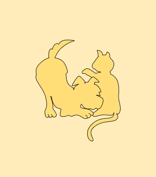 Placeholder for Team Member